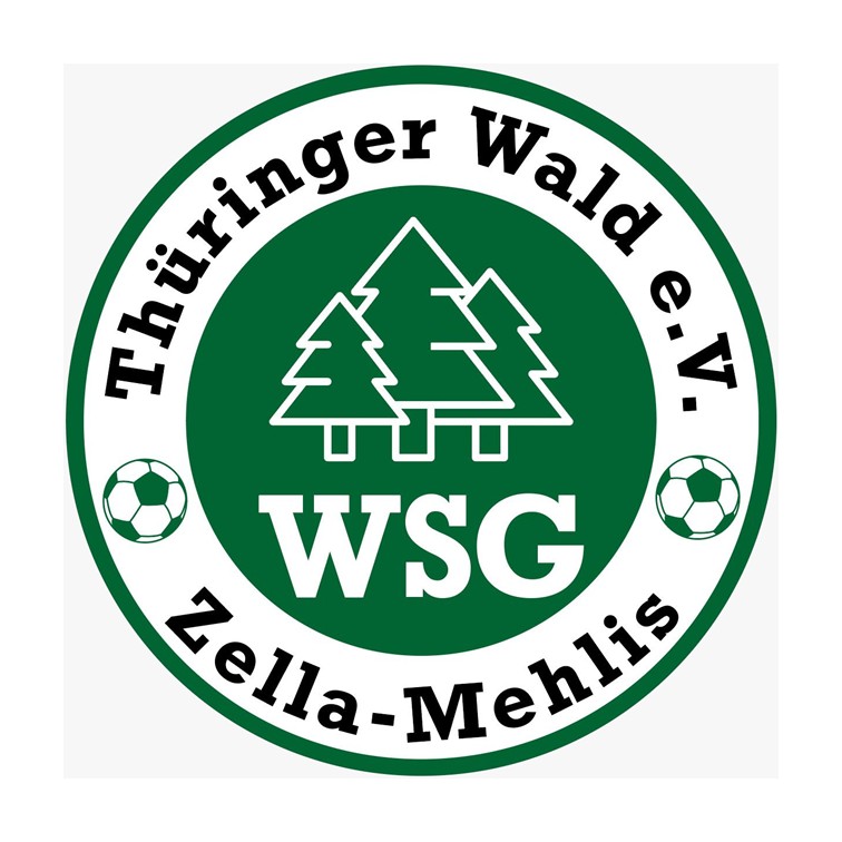 WSG ZM